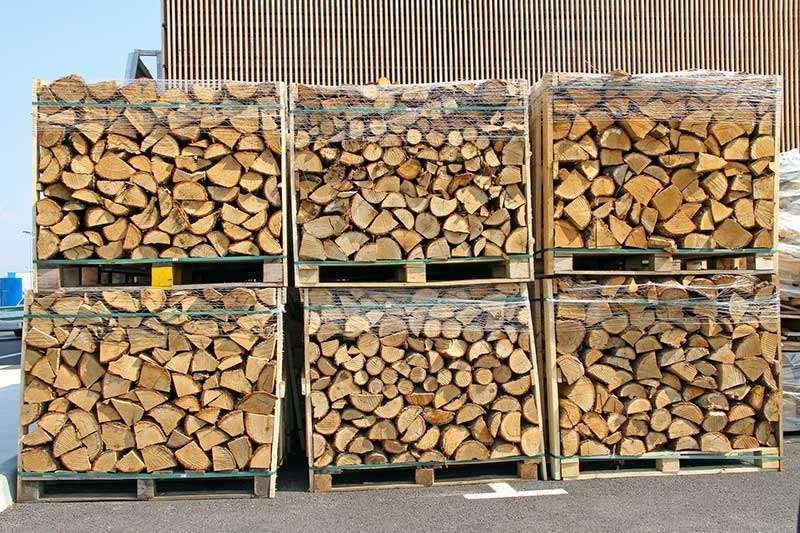 Bois de chauffage sec et prêt à brûler, Envoi, Hêtre
