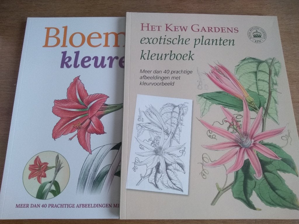 9   boeken "Kleuren voor volwassenen", Livres, Loisirs & Temps libre, Enlèvement, Neuf