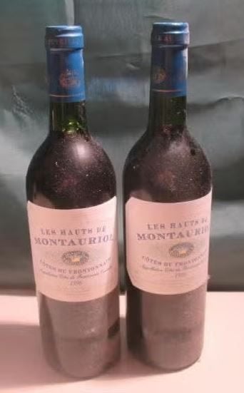 2 vins - Les Hauts de Montauriol Fronton - 1996, Collections, Vins, Enlèvement ou Envoi, Pleine, Comme neuf, Vin rouge