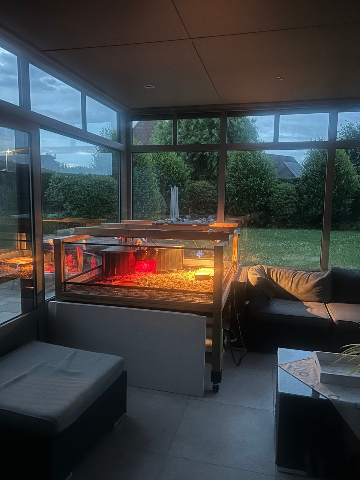 Grote terrarium, Animaux & Accessoires, Reptiles & Amphibiens | Accessoires, Comme neuf, Terrarium ou Paludarium, Enlèvement
