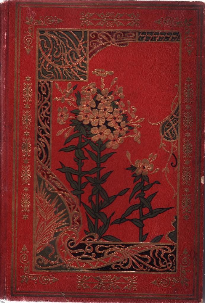 A.L. Lacourbadonne “Galerie d'illustrations, Boeken, Godsdienst en Theologie, Ophalen of Verzenden, Zo goed als nieuw, Christendom | Katholiek
