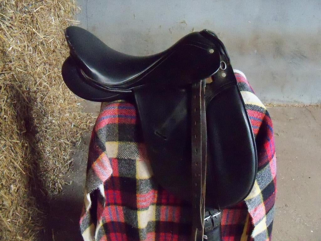 paardenzadel, Animaux & Accessoires, Chevaux & Poneys | Selles, Enlèvement, Utilisé, Récréation