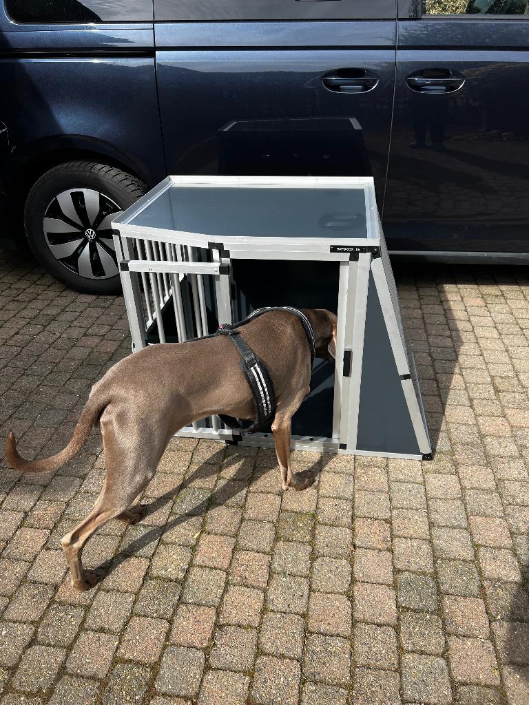 Auto Bench, Autos : Divers, Grille pare-chien, Enlèvement, Neuf