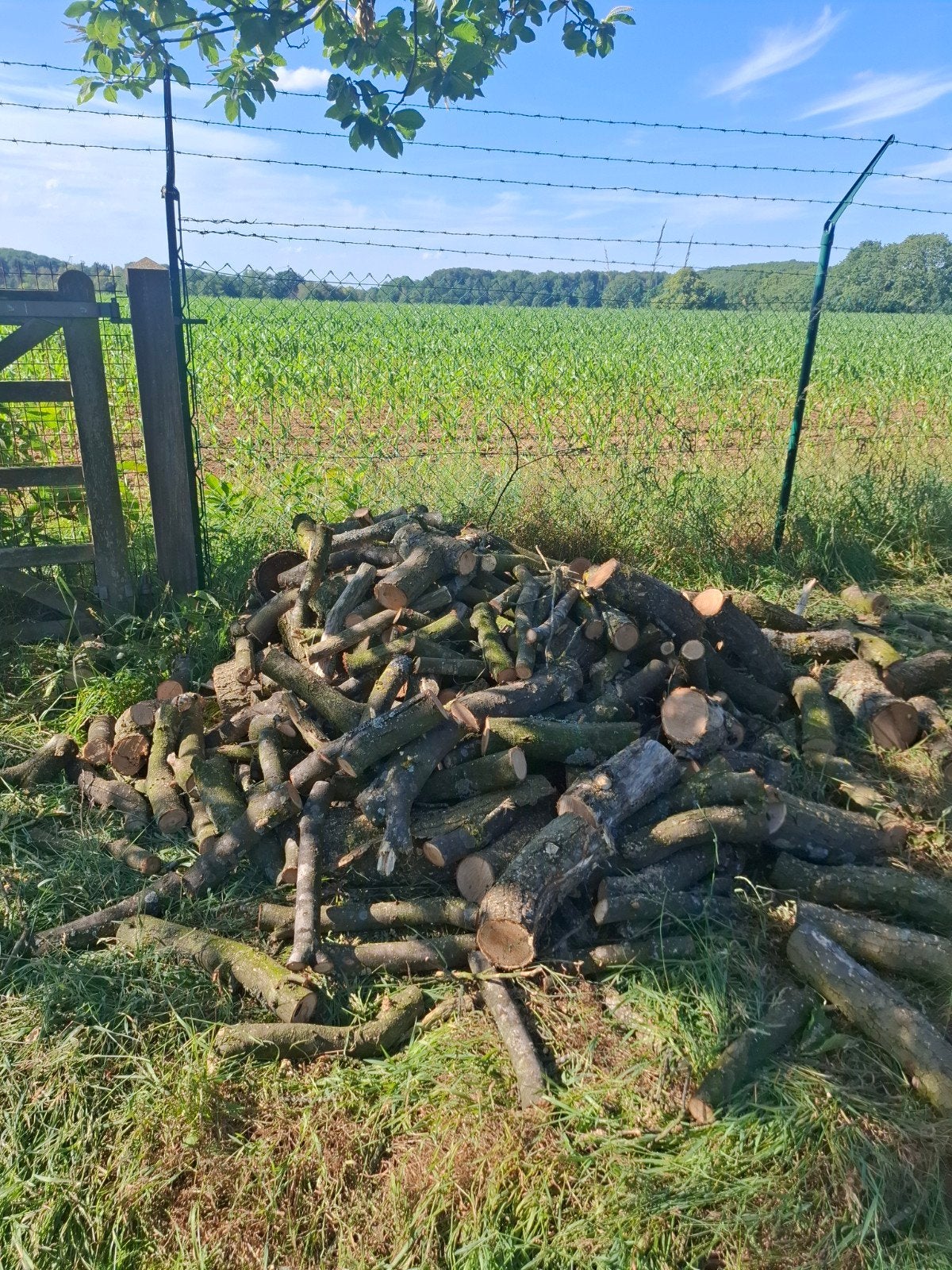 Partij droog brandhout kastanje, Tuin en Terras, Brandhout, Ophalen