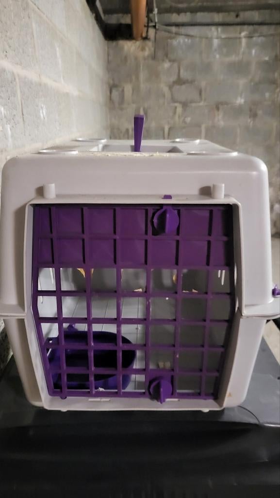 Draagbox voor kat of hond, Ophalen