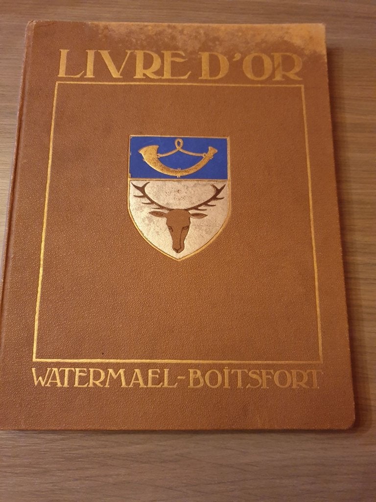 1914-1918 WATERMAAL-BOSVOORDE Livre d’or de Watermael..., Boeken, Geschiedenis | Stad en Regio, Ophalen of Verzenden, Gelezen