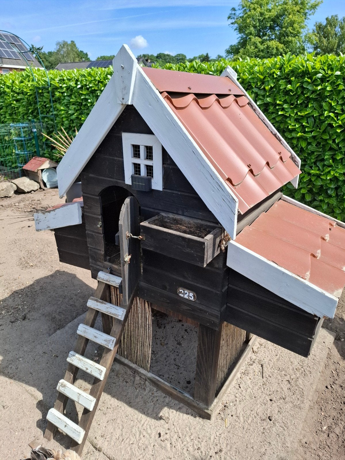 Kippenhok, Dieren en Toebehoren, Ophalen