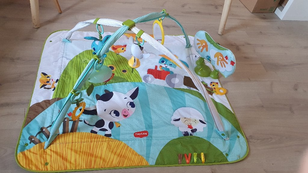 Speelmat Tiny Love Gymini Kick & Play Tiny Farm, Kinderen en Baby's, Ophalen, Gebruikt