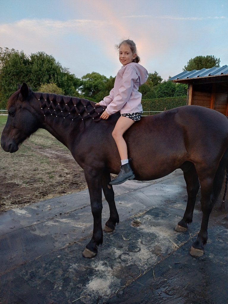 Superlieve D-pony ., Avec puce électronique, 11 ans ou plus, Débourré, Poney D (1.37 m à 1.48m)