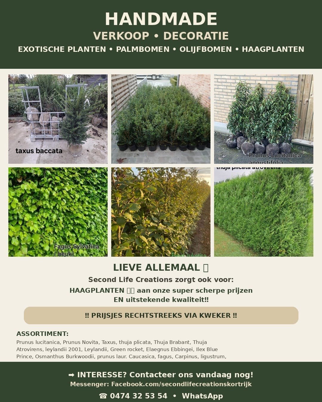 ‼️haagplanten aan stuntprijzen ️0474 32 53 54‼️, Enlèvement