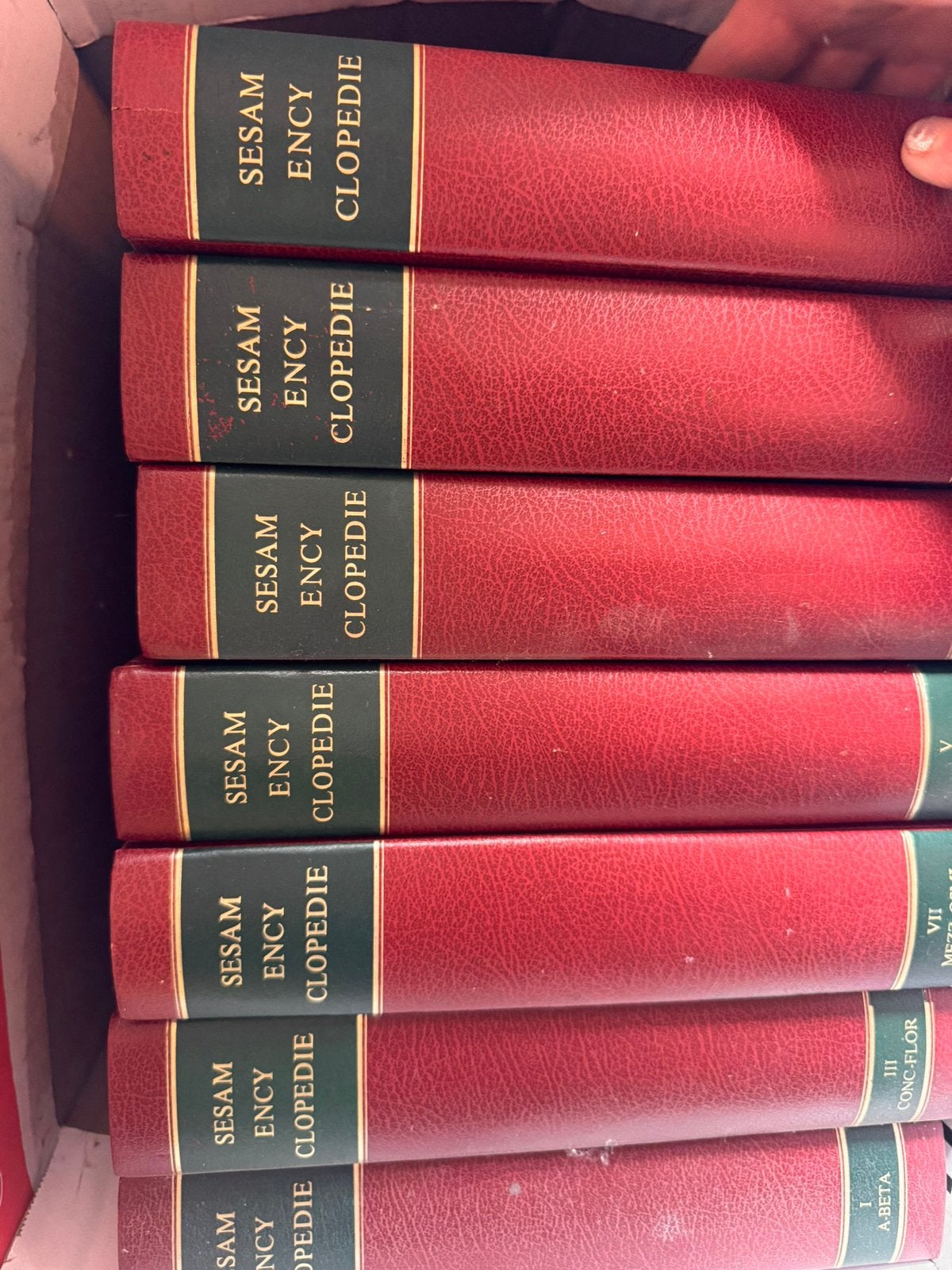 Sesam encyclopedie reeks, Boeken, Ophalen, Gelezen
