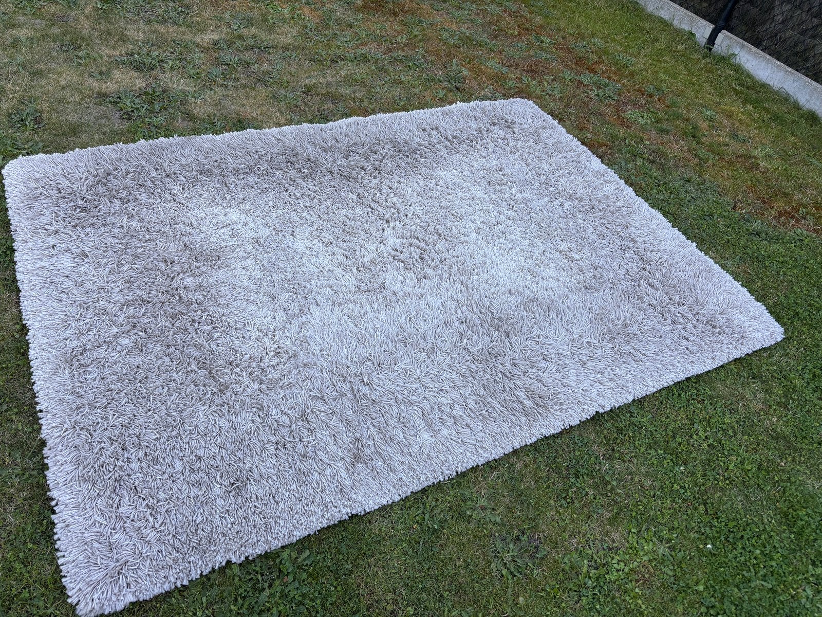 Tapijt langharig, Ophalen, Gebruikt, 150 tot 200 cm, 200 cm of meer