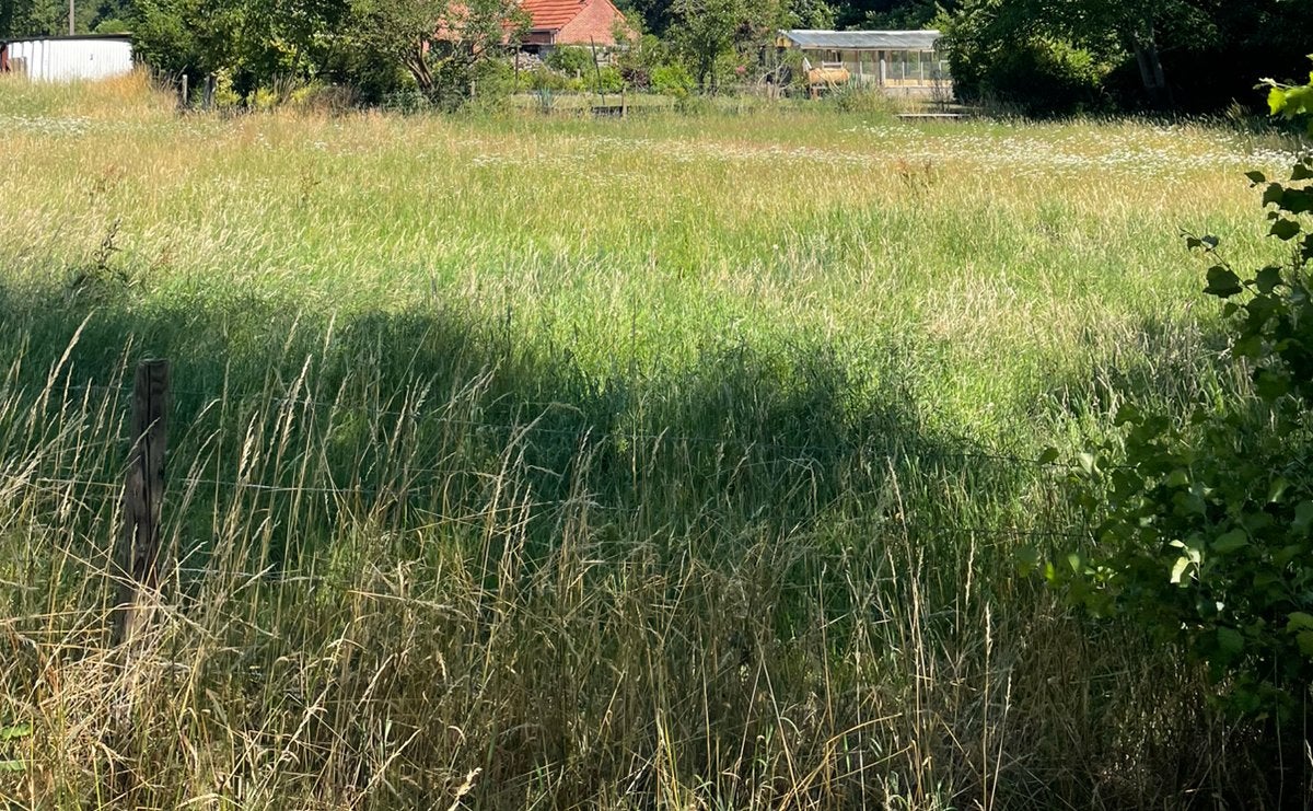 GEZOCHT - IEMAND DIE ONZE WEIDE KAN KLEPELEN, Dieren en Toebehoren, Weidegang, 4 paarden of pony's of meer