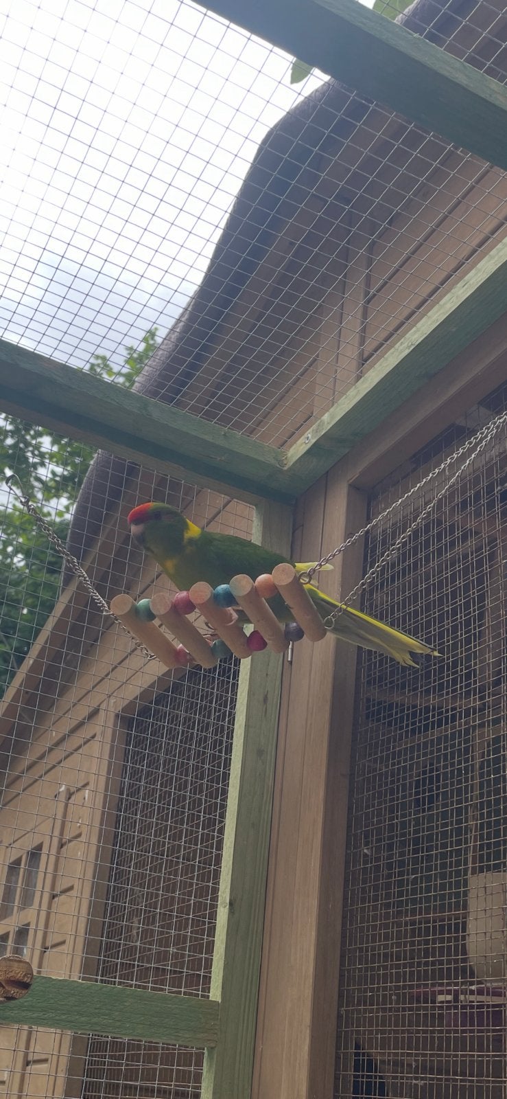 Kakarikkis, Dieren en Toebehoren