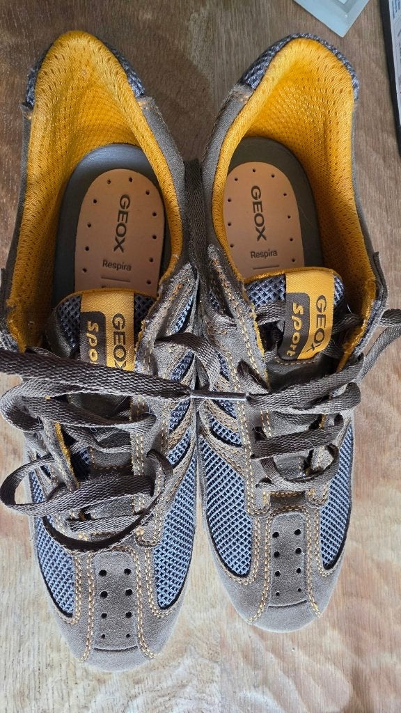 Chaussures Geox hommes, Neuf, Autres couleurs, GEOX, Enlèvement