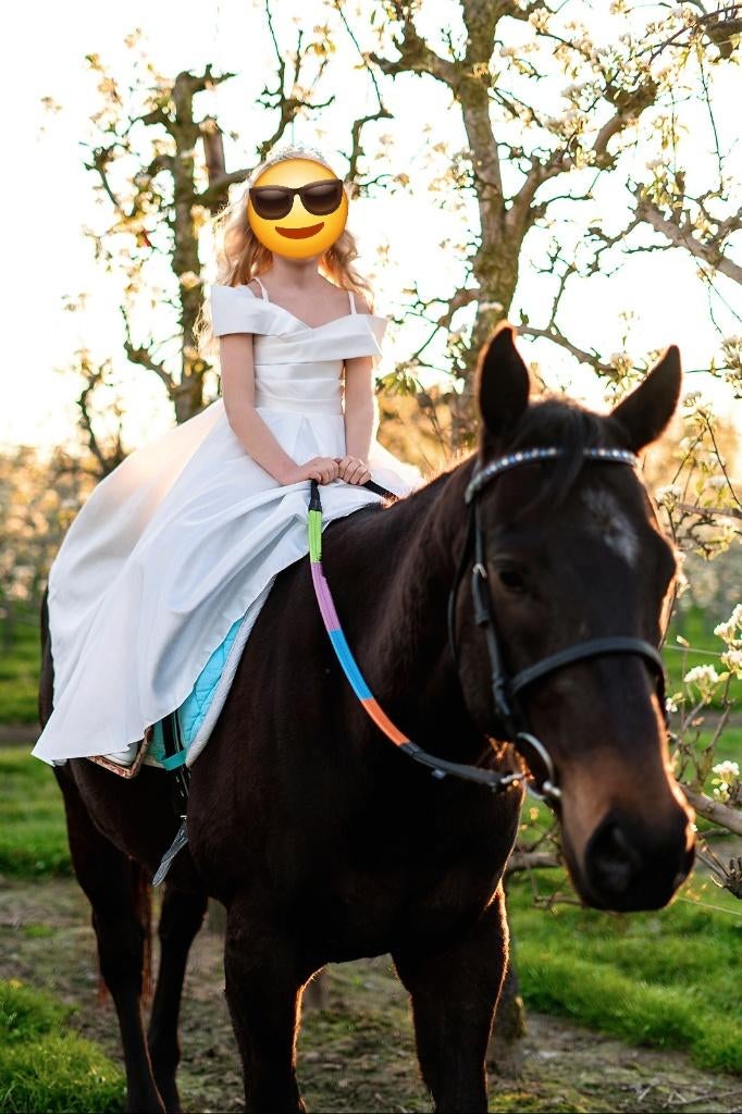 Allerliefste grote kinderpony, Animaux & Accessoires, Poneys, Hongre, Débourré, Poney E (1.48 m - 1.57m), Poney de récréation
