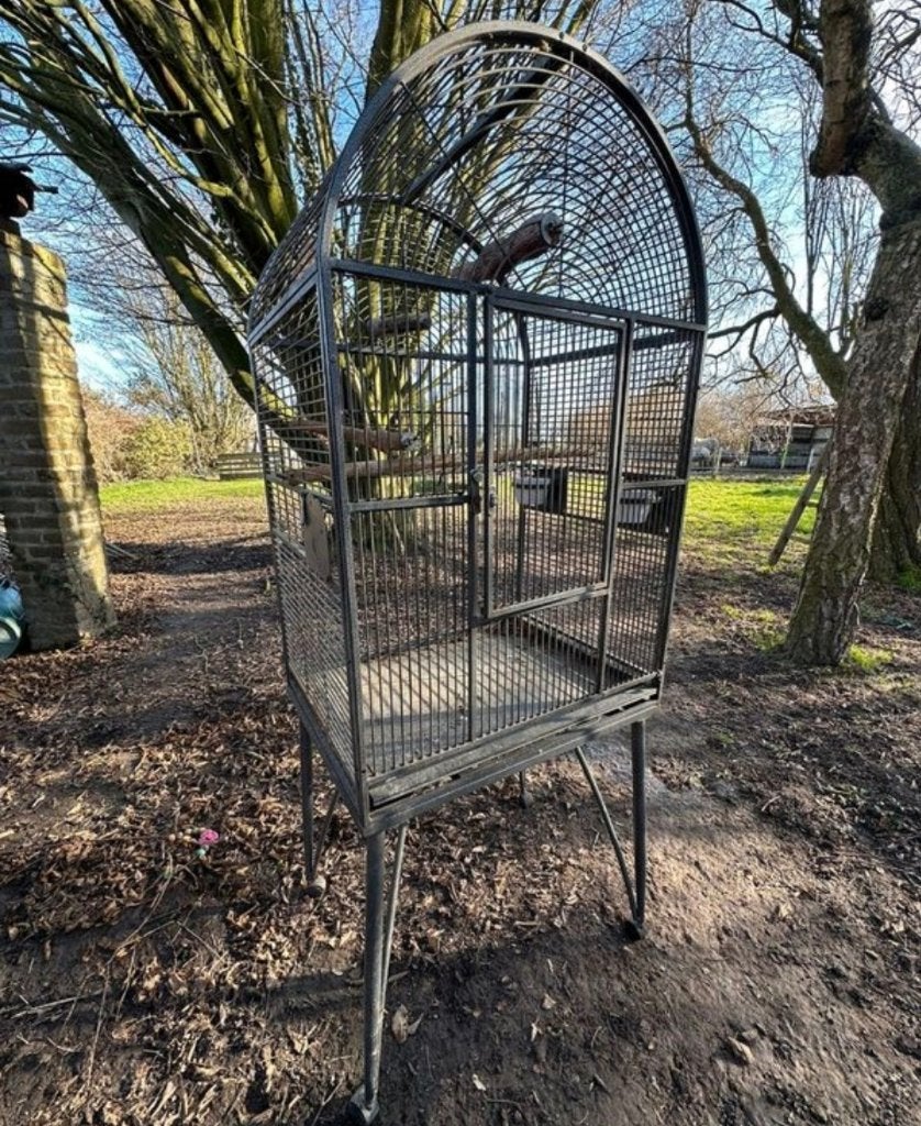 Cage à perroquet, Enlèvement, Comme neuf