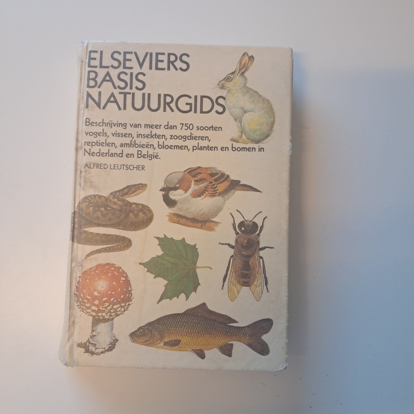 Elseviers basis natuurgids, Boeken, Ophalen of Verzenden, Zo goed als nieuw, Natuur algemeen