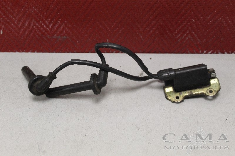 BOBINE Honda CBR 900 RR Fireblade 1992-1993 (CBR900RR SC28), Motoren, Dhr. S. di Majo, Gebruikt, Info@cama-motorparts.nl, P.J. Troelstraweg 8 8
3144 CX  MAASSLUIS, NL