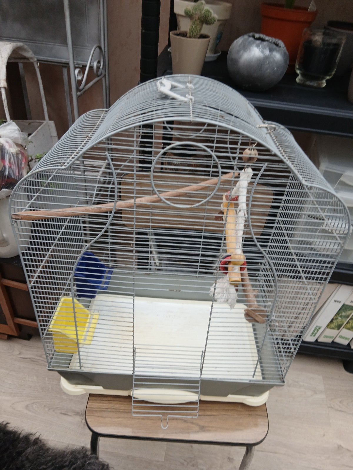 Vogelkooi voor parkieten, Ophalen, Vogelkooi