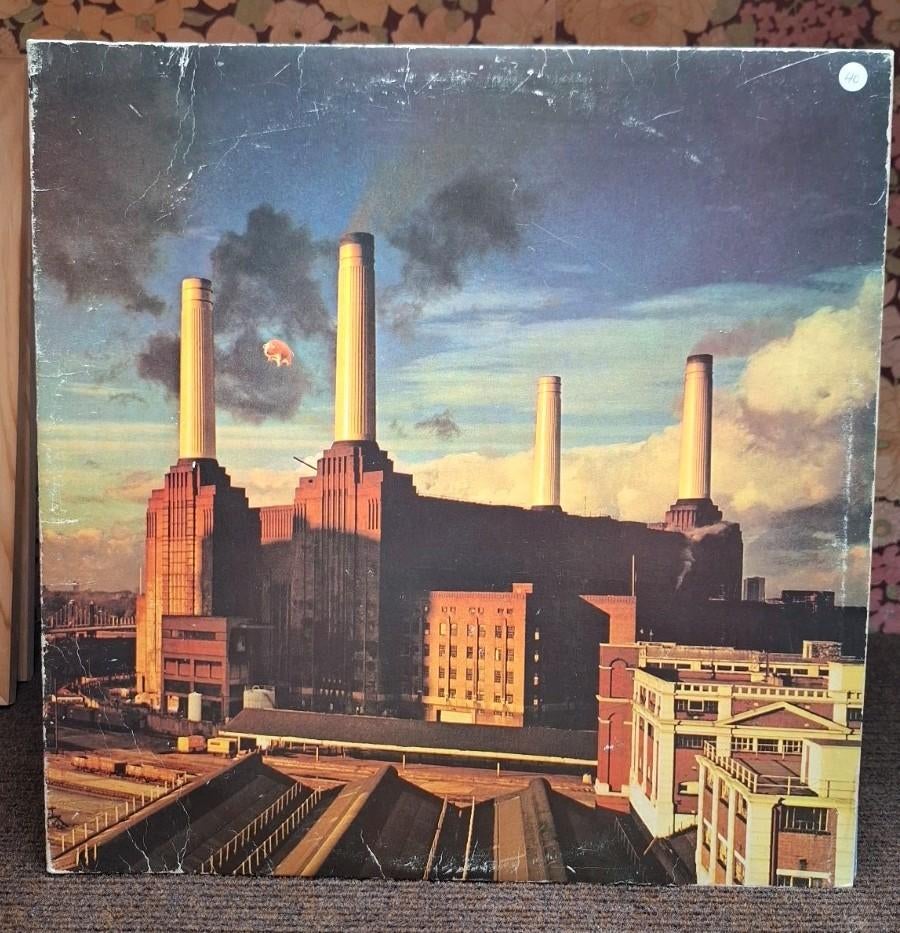 Album Pink Floyd 1977, Enlèvement ou Envoi, Utilisé, 12 pouces, Progressif