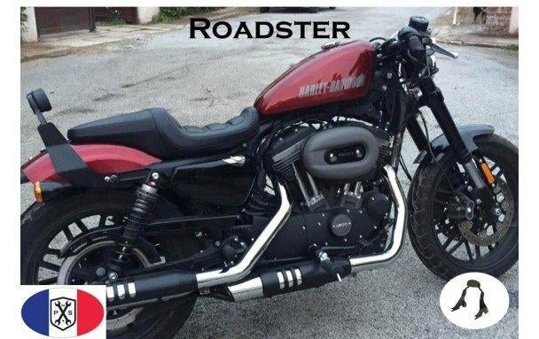 Harley davidson afneembare sissy bar roadster, Enlèvement, Utilisé