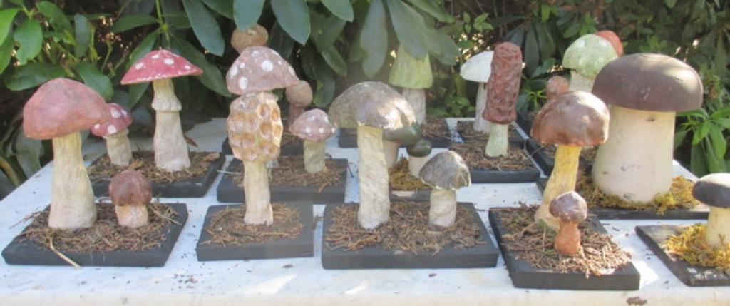 collection de modèles anciens champignons école pharmacie 33, Antiquités & Art, Envoi