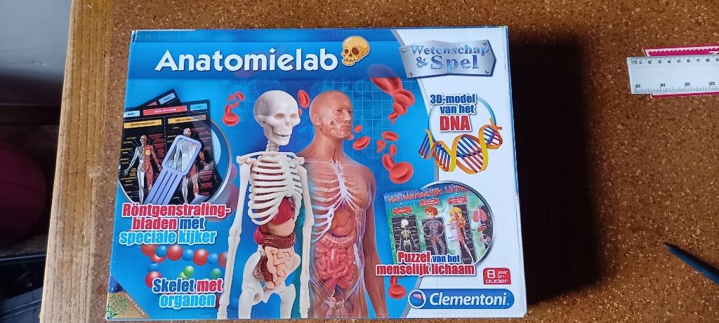 Anatomielab Wetenschap en Spel, Enfants & Bébés, Jouets | Éducatifs & Créatifs, Comme neuf, Enlèvement ou Envoi