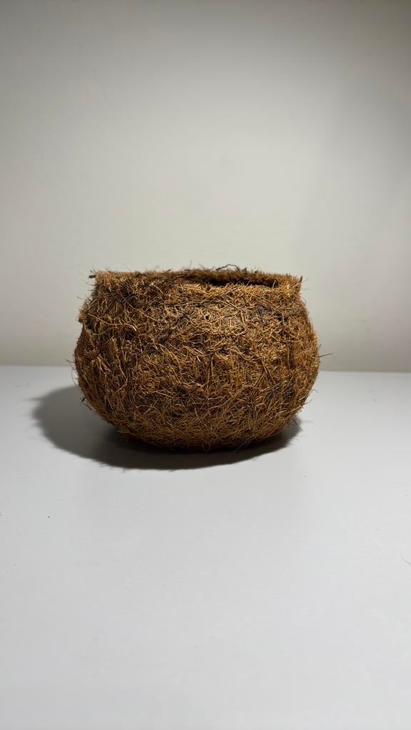 Kokosbloempot, Ophalen, Zo goed als nieuw