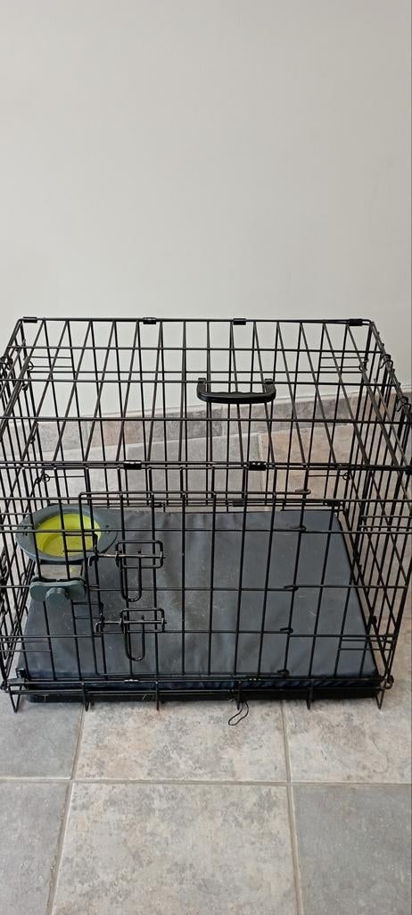Bench hond, Dieren en Toebehoren, Ophalen