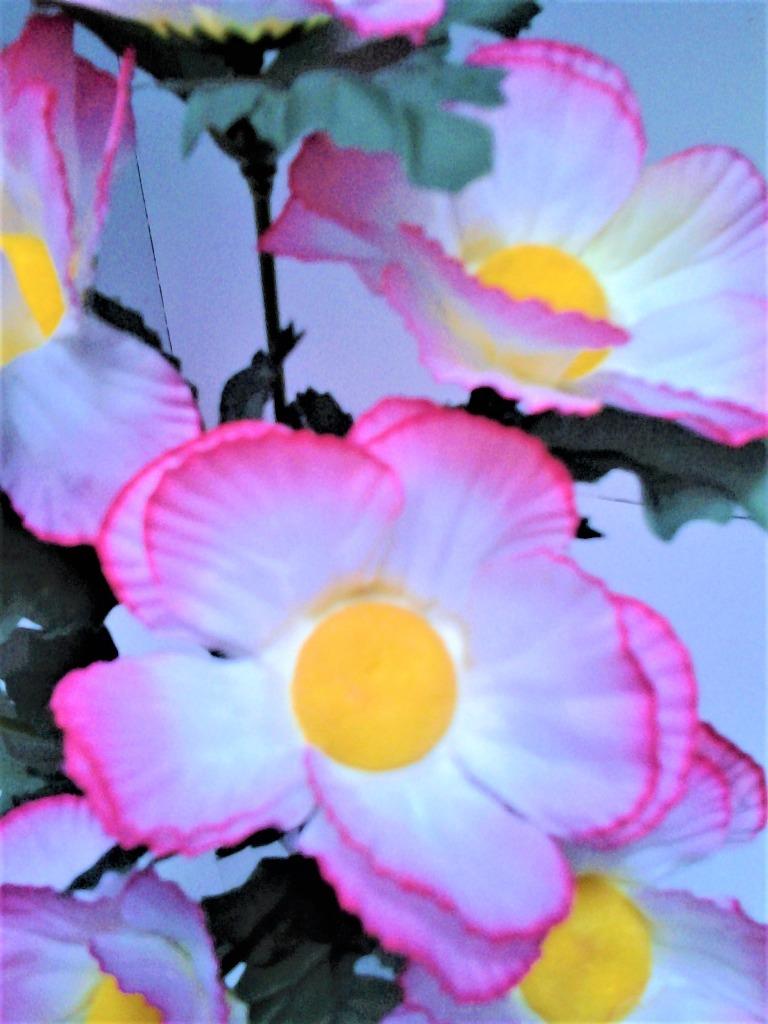 Zijden bloemen op een piketje - met 6 bloemen, Ophalen, Nieuw, Overige typen