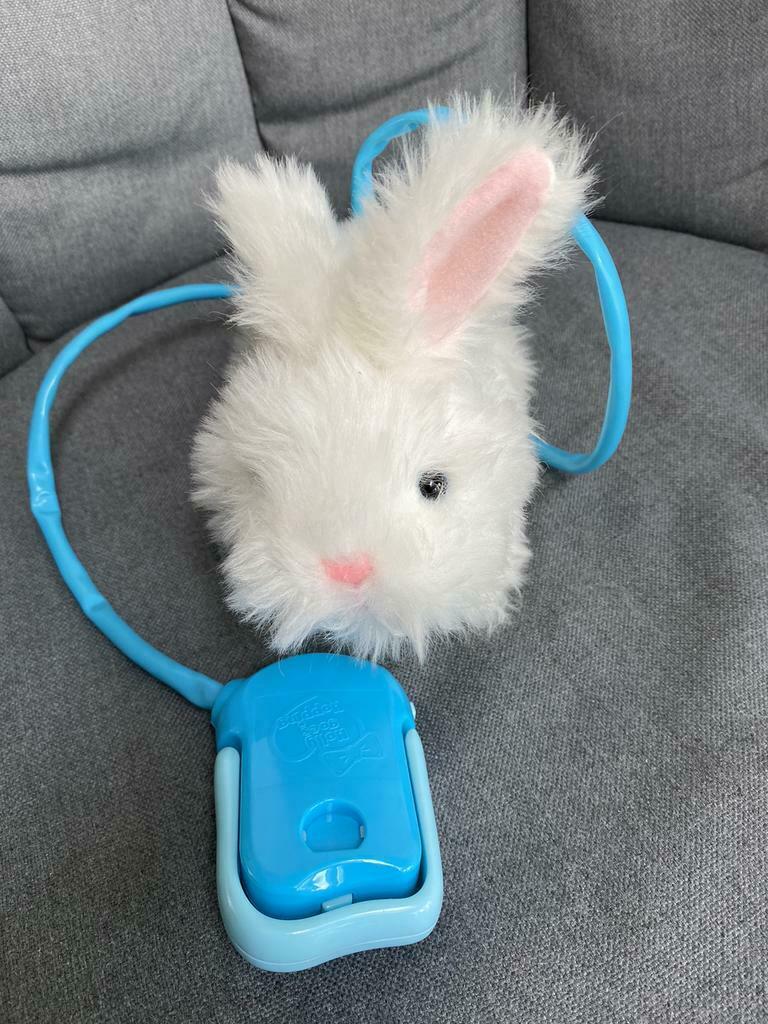 Konijn Holly goes hopping, Enlèvement ou Envoi, Comme neuf, Lapin