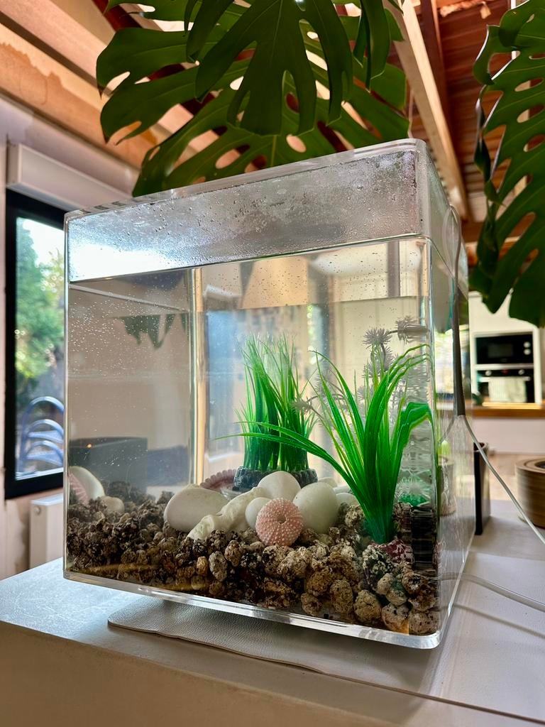 BiOrb Aquarium – compleet met accessoires, Enlèvement, Utilisé, Éclairage ou Chauffage