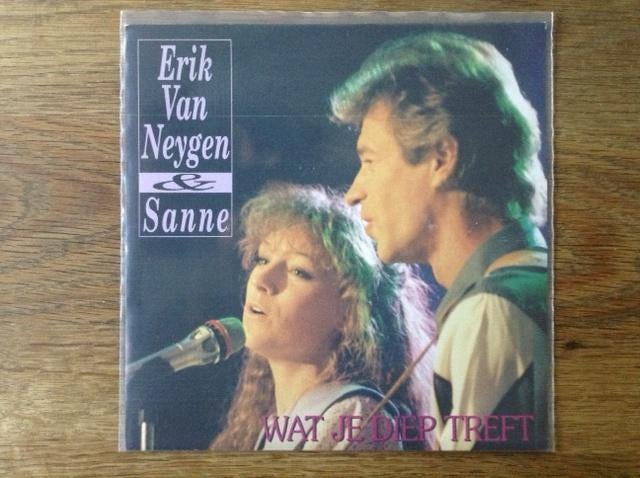 single erik van neygen & sanne, Ophalen of Verzenden, Nederlandstalig