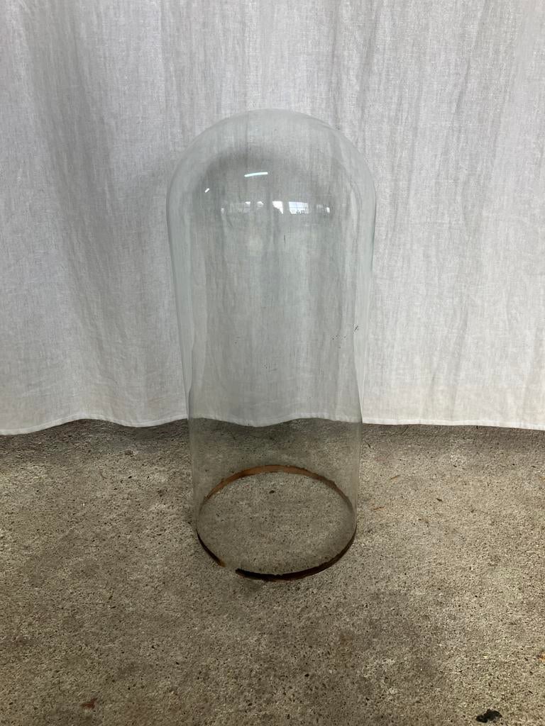 Glazen stolp, Antiek en Kunst, Ophalen