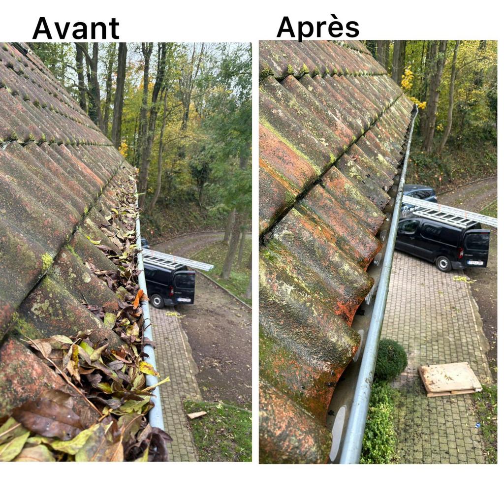 Demoussage,nettoyage ,hydrofuge,étanchéité , peinture facade, Enlèvement ou Envoi
