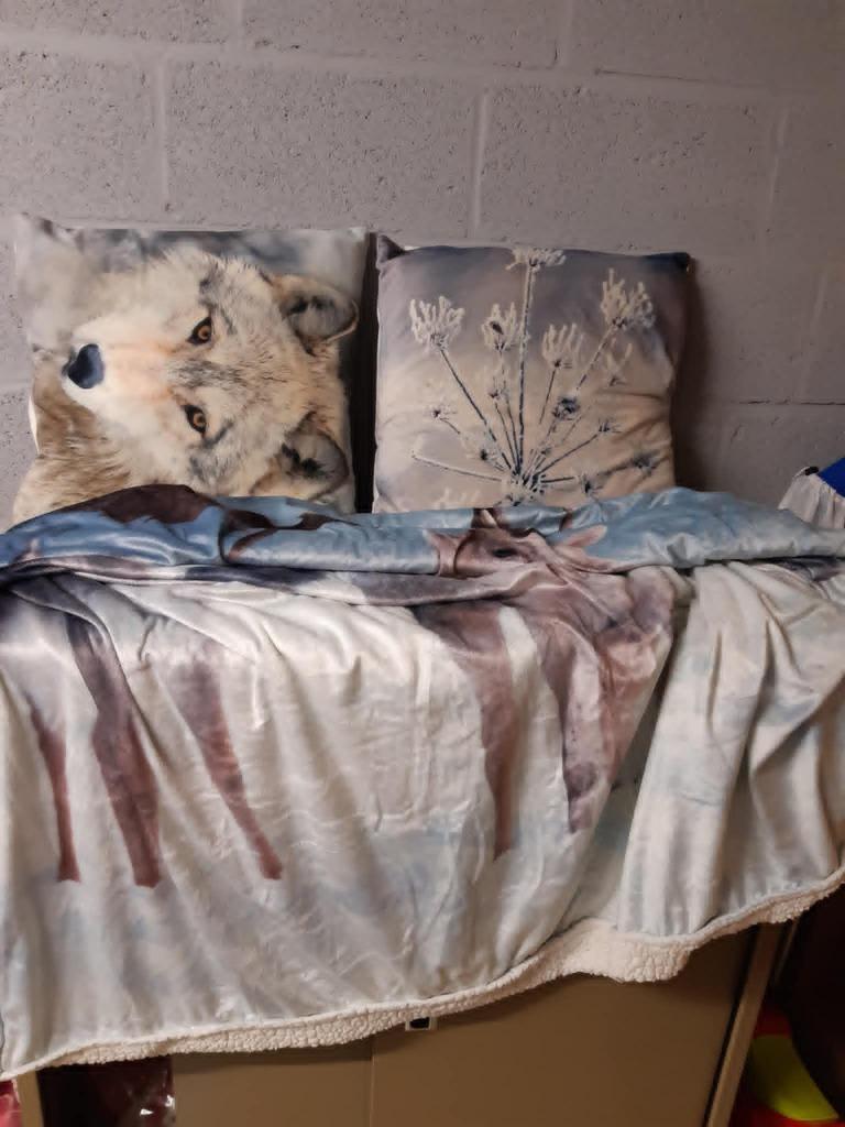 PLAID EN 2 BIJPASSENDE KUSSENS, Huis en Inrichting, Ophalen, Zo goed als nieuw, Rechthoekig