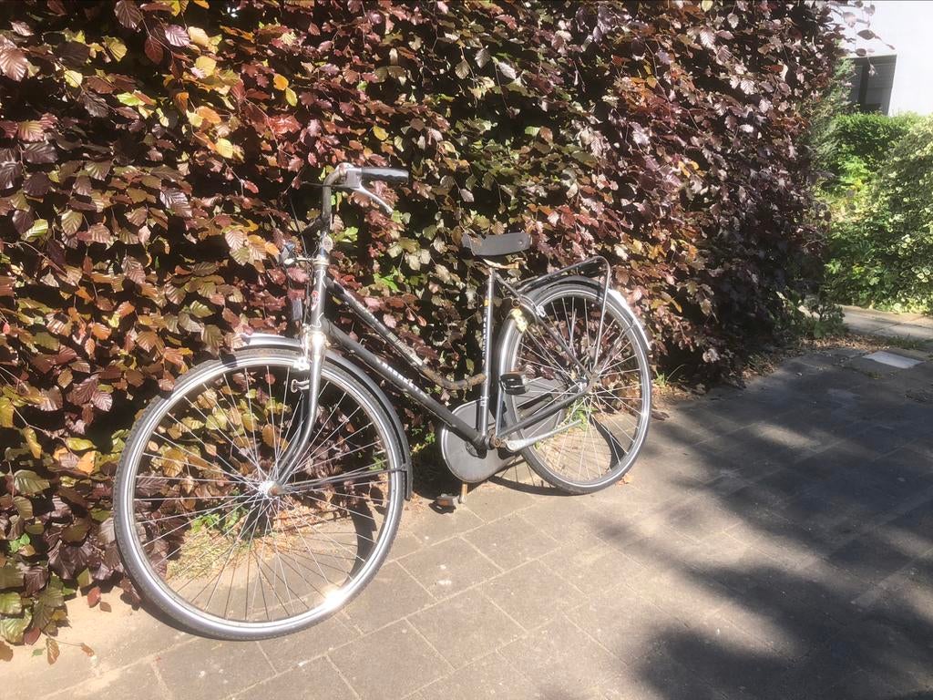 Damesfiets tweedehands, Ophalen, Gebruikt