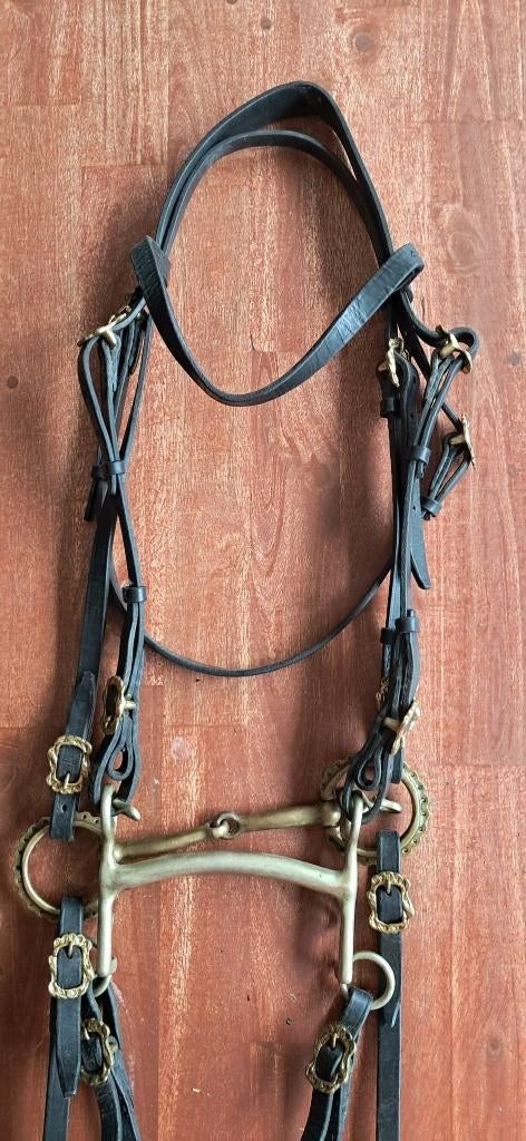 Bride ancienne 1900–1930, Enlèvement ou Envoi, Utilisé, Dressage