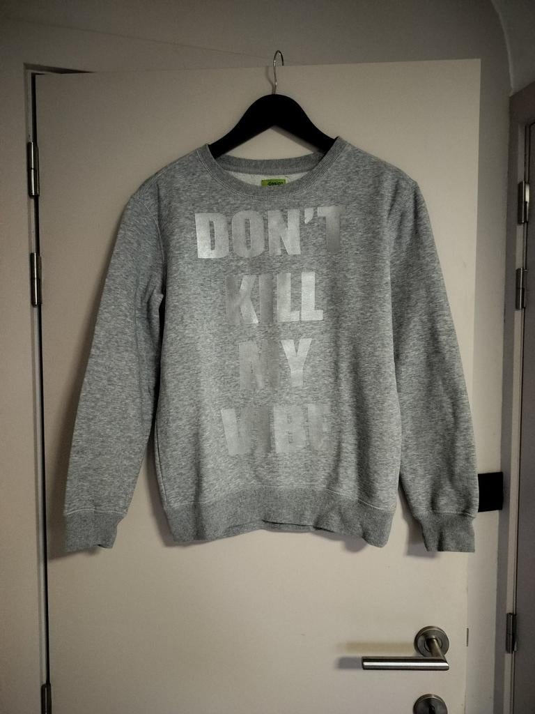 Leuke sweater, Kleding | Dames, Ophalen of Verzenden, Zo goed als nieuw, Maat 34 (XS) of kleiner