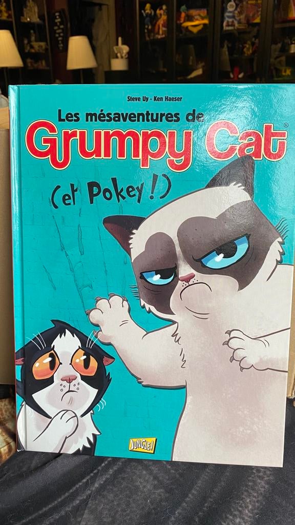 BD bande dessinee Grumpy Cat, Ophalen, Zo goed als nieuw