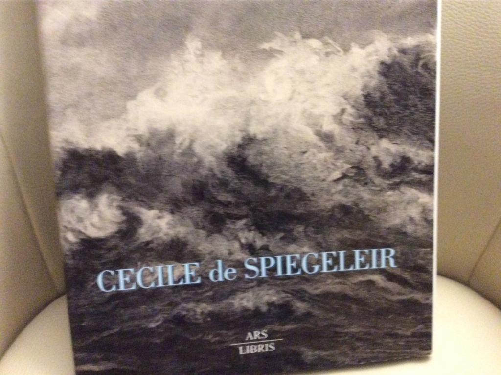 Cecile de Spiegeleir.   Schilderijen Arts Libris 1997, Ophalen of Verzenden, Nieuw