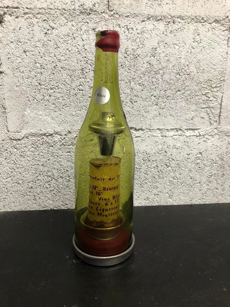 Bouteille thermomètre vin prestige