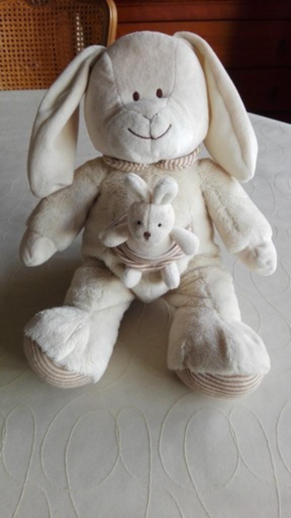 knuffel met baby konijn, Ophalen of Verzenden, Nieuw, Konijn