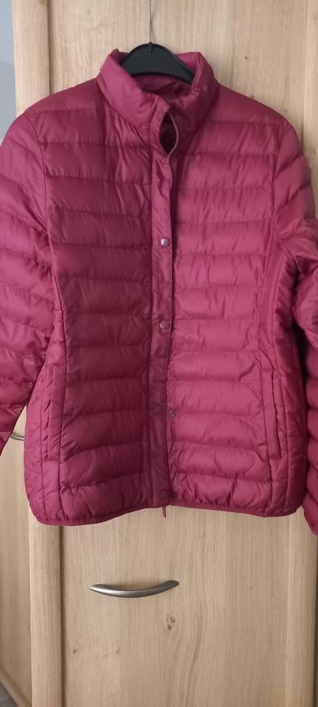 Fusia regenjasje voor dames  van Damart, small, Nieuw, Ophalen of Verzenden, Roze, Maat 36 (S)