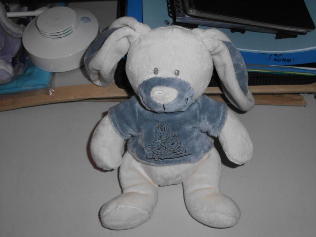 knuffel met muziek, Kinderen en Baby's, Speelgoed | Knuffels en Pluche, Ophalen, Nieuw, Hond