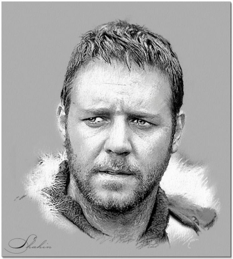 )))   Russell Crowe   //  à partir de 2 €   (((, Tous les âges, Enlèvement ou Envoi, Comme neuf