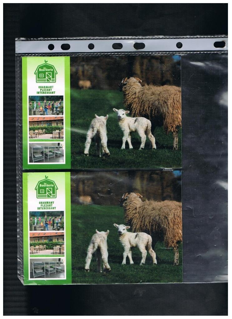 POSTKAARTEN BEAUVOORDE, Verzenden, Gelopen, West-Vlaanderen