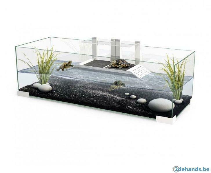 Réservoir tortue Ciano Tartarium 80, Enlèvement, Neuf, Terrarium ou Paludarium