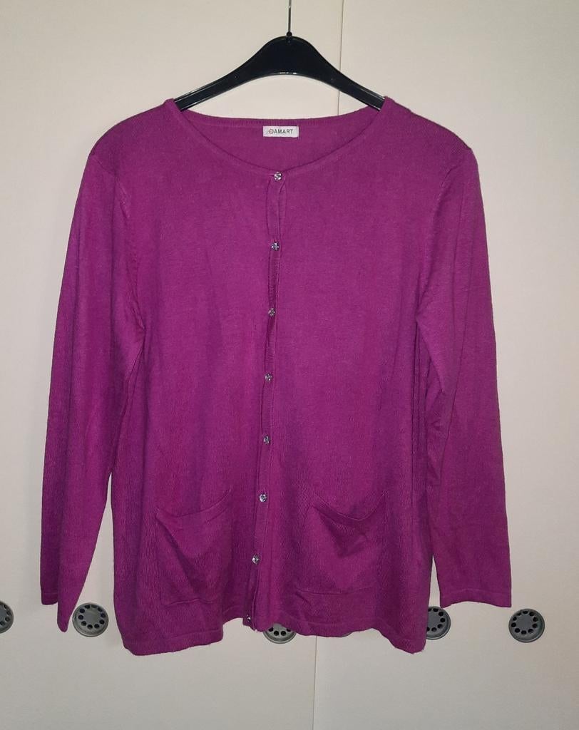 Damart longsleeve/vestje "L", Maat 42/44 (L), Ophalen of Verzenden, Zo goed als nieuw, Roze